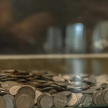 Cineapollo - Ogni Un Film! 4*